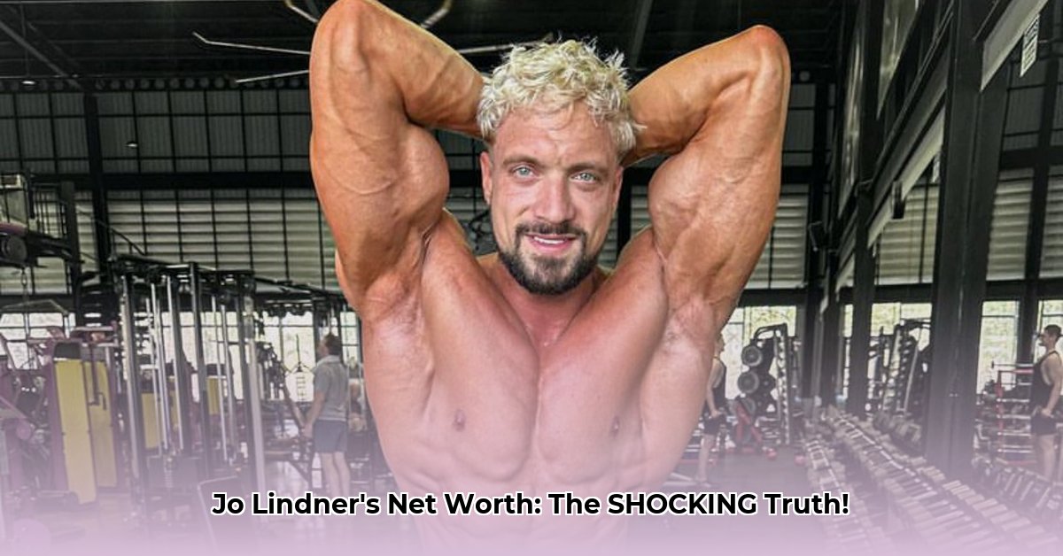 jo-lindner-net-worth
